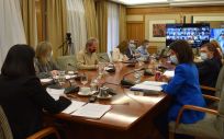 Reunión telemática del Consejo Interterritorial, presidido por la ministra de Sanidad (Foto: M. Sanidad)