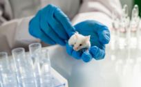 Científico analizando un ratón de laboratorio (Foto. Freepik)