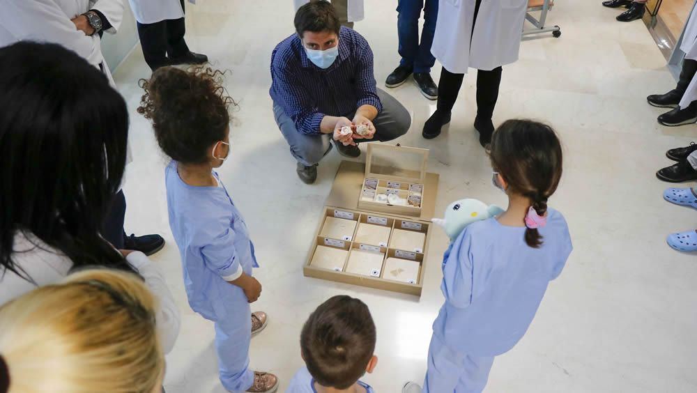 Ruta de fósiles para los niños en el Hospital la Fe