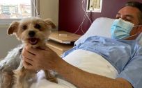 Un paciente con su mascota en el Ribera Hospital de Molina. (Foto. Grupo sanitario Ribera)