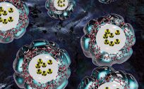 Un sistema de administración de fármacos con nanopartículas puede potenciar la eficacia de la quimioterapia