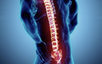 Columna vertebral (Foto. Pixabay)