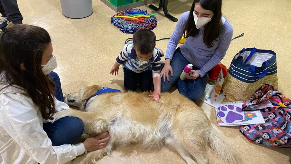Terapia con perros para los niños ingresados en el Reina Sofía