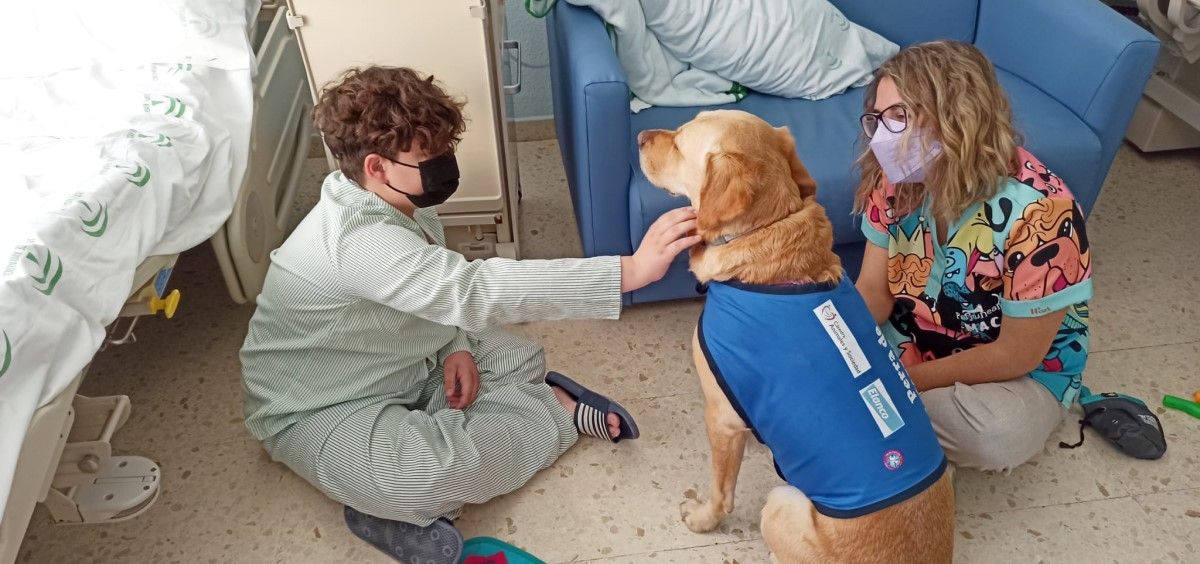 Intervención asistida con perros en el Hospital Comarcal de la Axarquía de Málaga.   (Foto. Perruneando)
