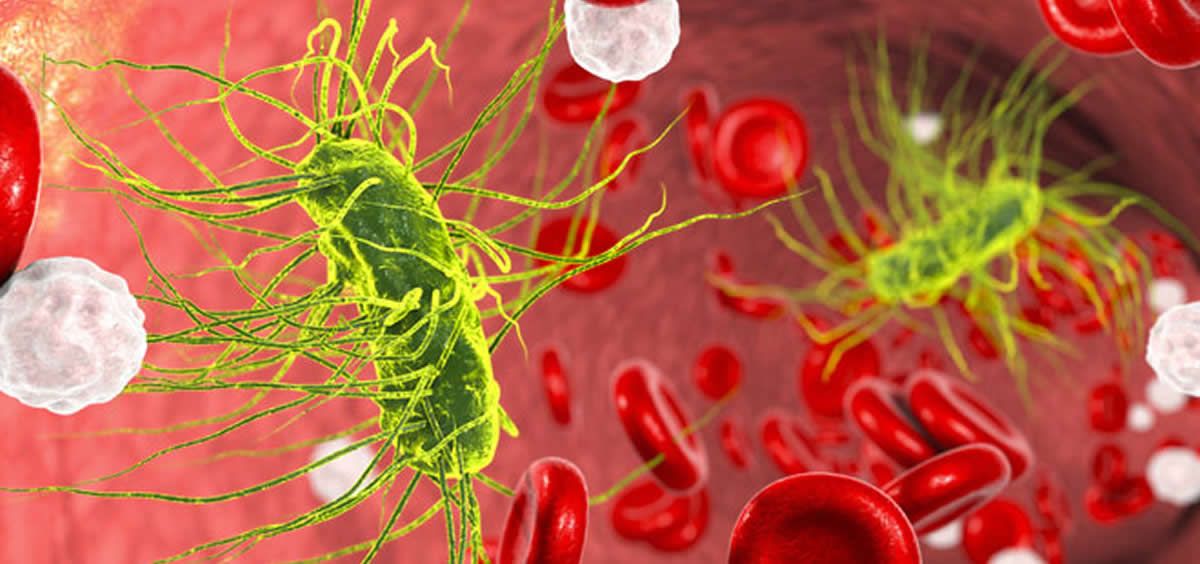 Nanopartículas biocompatibles para tratar la sepsis (Foto. Pixabay)
