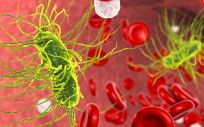Nanopartículas biocompatibles para tratar la sepsis (Foto. Pixabay)