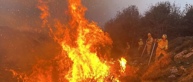 Incendio forestal (Foto. Gobierno de Cantabria)
