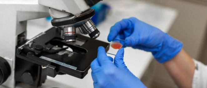 Científico analizando una muestra de sangre en un microscopio (Foto. Freepik)