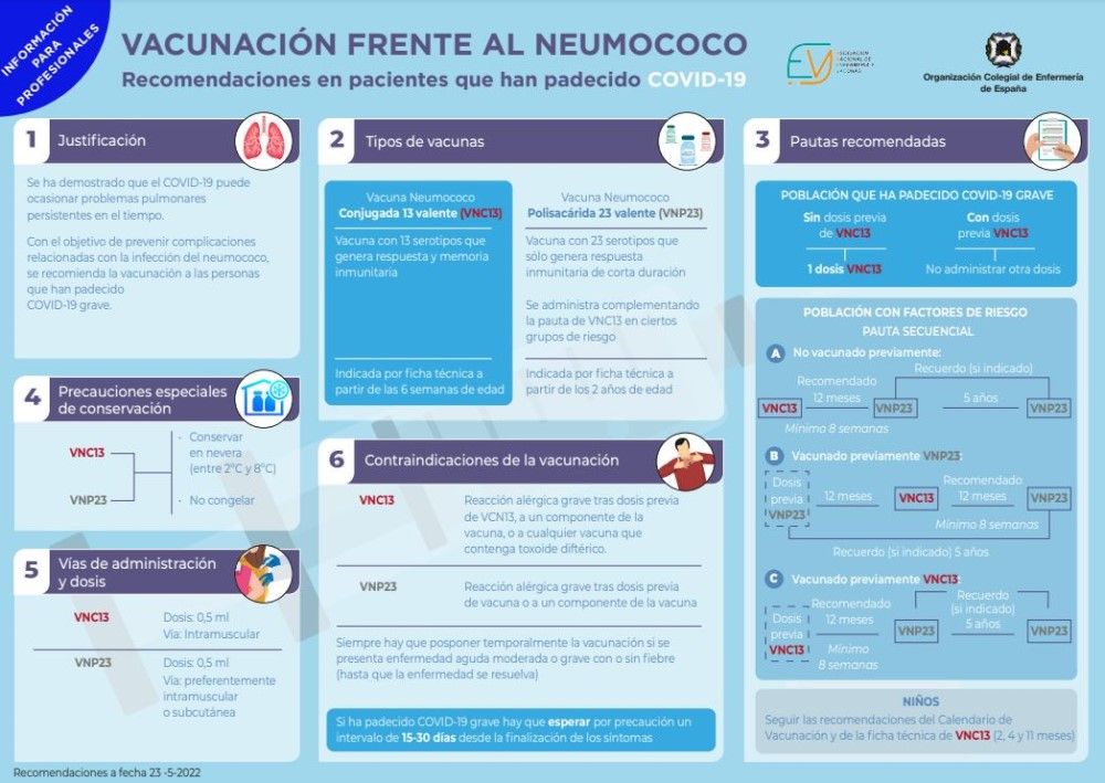 Infografía sobre la vacunación contra el neumococo para los profesionales. (Foto. CGE)