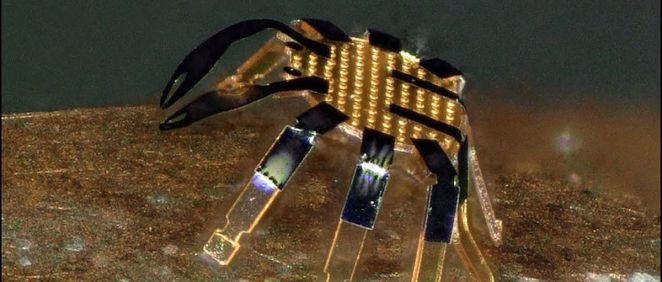 Este robot con forma de cangrejo podría ayudar en cirugías mínimamente invasivas (Foto. Universidad Northwestern)