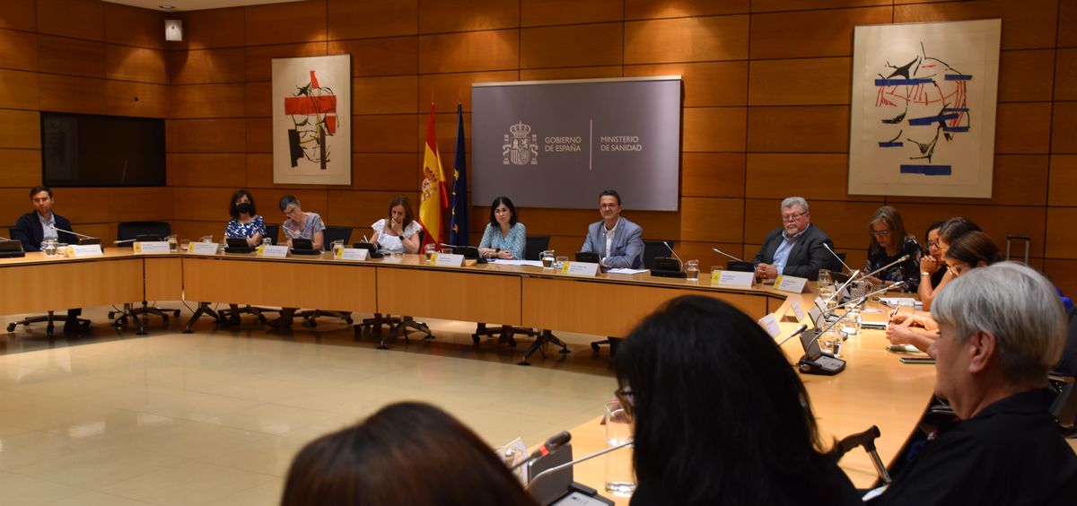 Reunión del Ministerio de Sanidad con la Alianza Iberoamericana de Enfermedades Raras (Aliber) (Foto: M. Sanidad)