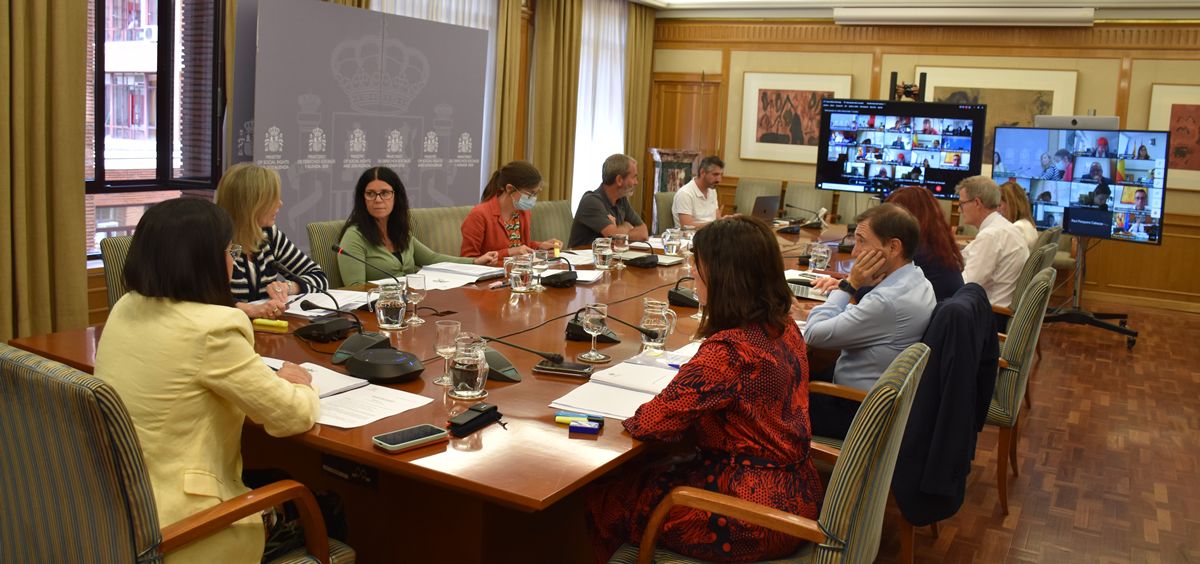 Reunión del Consejo Interterritorial celebrado de forma telemática (Foto: M. Sanidad)