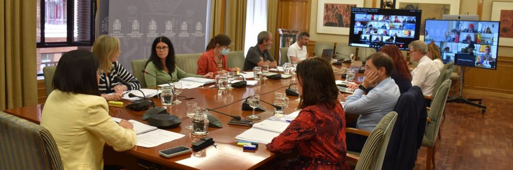 Reunión del Consejo Interterritorial celebrado de forma telemática (Foto: M. Sanidad)