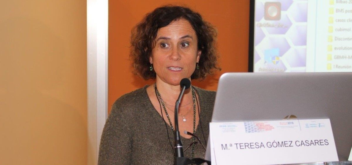 María Teresa Gómez Casares, presidenta del  Grupo de Biología Molecular en Hematología de la Sociedad Española de Hematología y Hemoterapia. (Foto. SEHH)