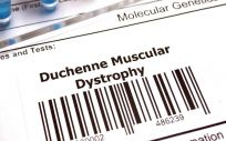 ¿Por qué hasta el 60% de pacientes con distrofia muscular de Duchenne presentan anomalías cardiacas?