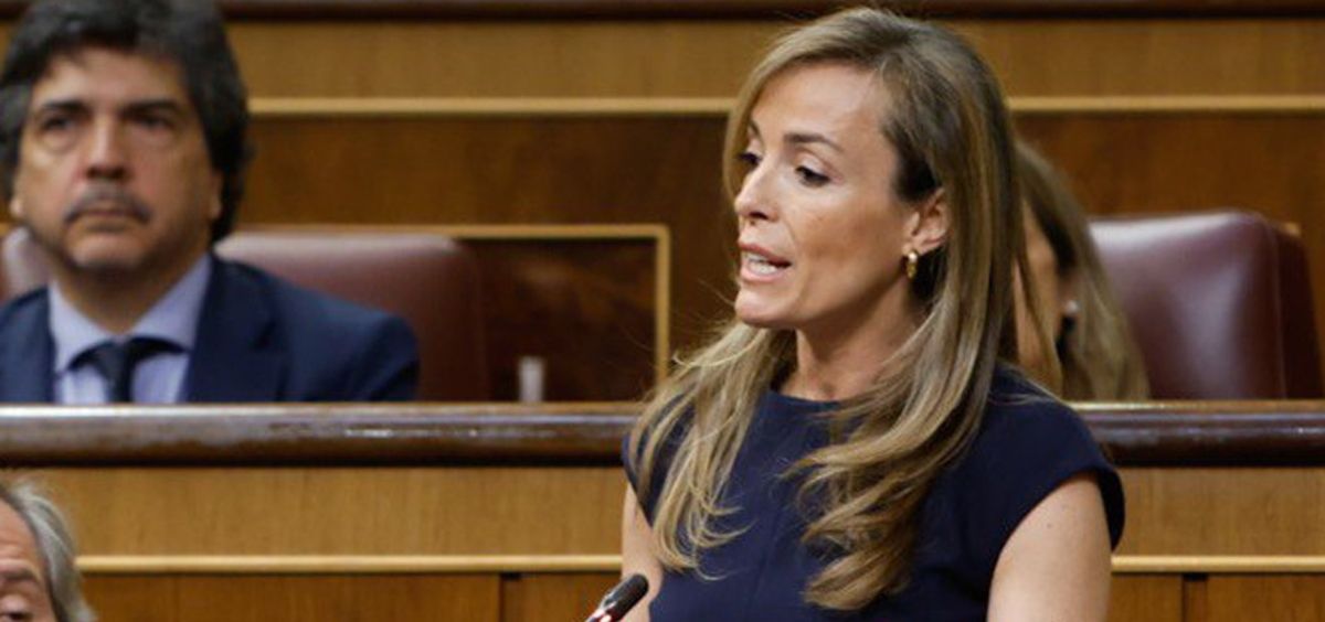 Carmen Navarro, diputada del PP, interviniendo en el Congreso de los Diputados (Foto: Congreso)