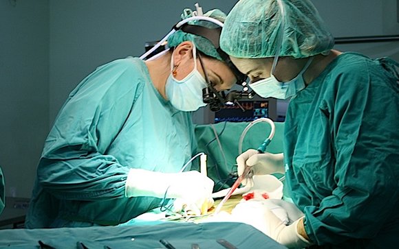 La mitad de los trasplantes cardíacos que se hacen en España son de carácter urgente