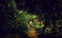 Persona en la selva (Foto: Freepik)