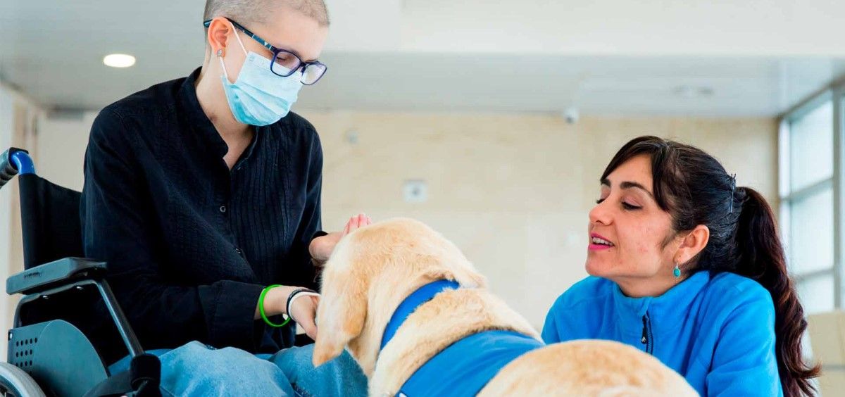 Una intervención asistida con animales de Perros Azules. (Foto. Fundación Aladina)