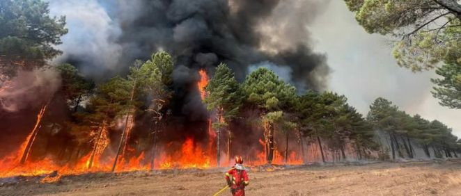 Un efectivo de la Unidad Militar de Emergencias (UME) se dispone a atacar una columna de fuego en el incendio forestal de Monsagro de este verano (Foto: @Defensagob)