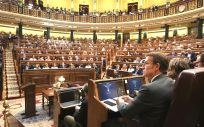 Pleno del Congreso de los Diputados (Foto: Flickr PP)