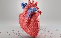 Claves sobre la miocardiopatía dilatada genética