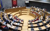 Pleno del Parlamento de Navarra (Foto: Parlamento de Navarra)