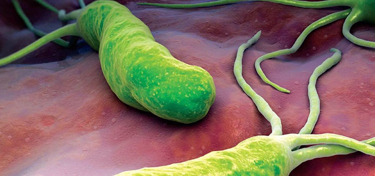 Bacteria 'h pylori' (Foto. Instituto del aliento)
