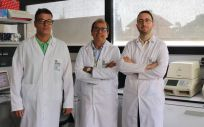 Los investigadores de la UCO y del IMIBIC Juan Roa, Manuel Tena-Sempere y Miguel Ruiz-Cruz (Foto: Universidad de Córdoba)