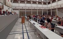Sesión plenaria en la Asamblea Regional de Murcia (Foto. ARM)