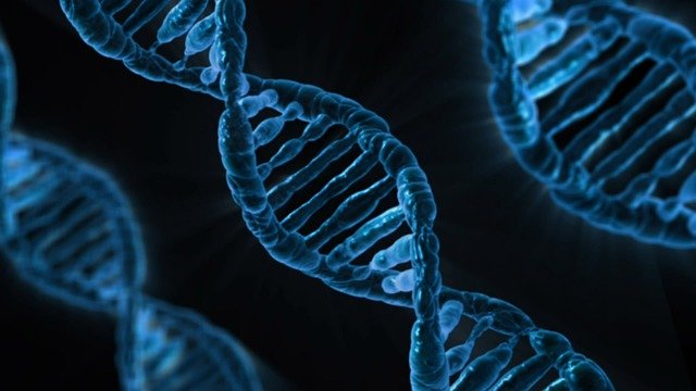 Los peligros del test genético al alcance de “cualquiera”