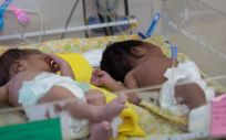 Niños recién nacidos en el hospital (Foto. Freepik)