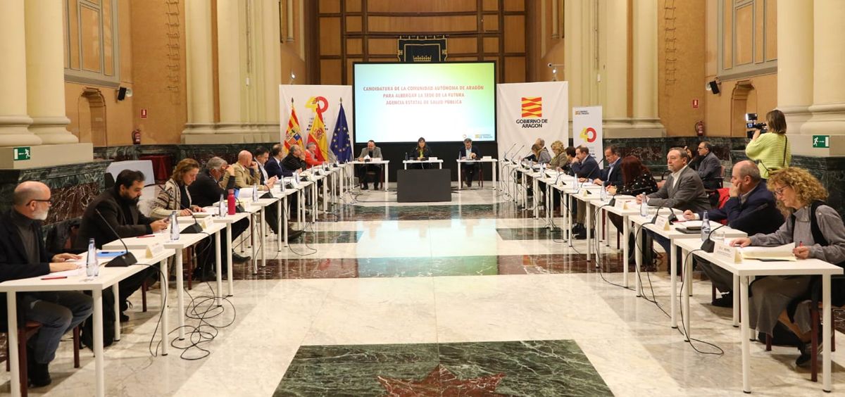 Reunión del grupo institucional de Aragón para la candidatura a la Agencia Estatal de Salud Pública (Foto: Gobierno de Aragón)
