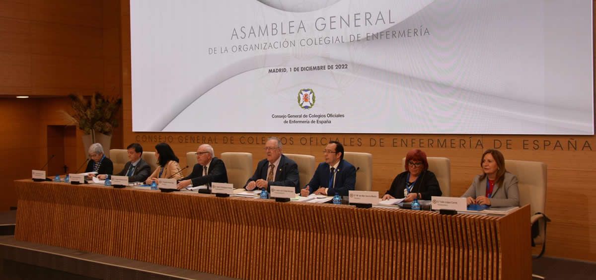 Una imagen de la Asamblea General (Foto. CGE)