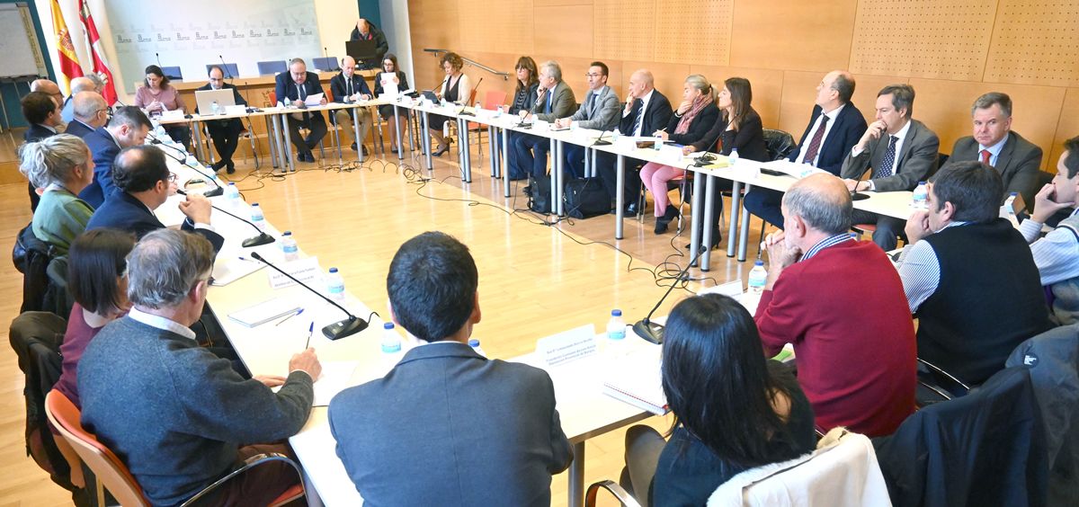 Reunión del Consejo Castellano y Leonés de Salud (Foto: JCYL)
