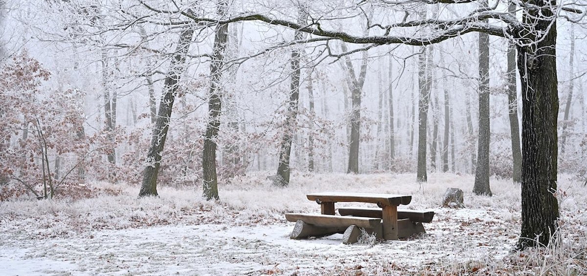 Campo nevado en un invierno cada vez más frío por el cambio climático (Foto. Freepik)