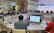 Pleno del Consejo Interterritorial del SNS durante su reunión en Mérida (Foto: JCYL)