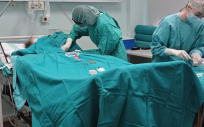 Enfermeras implantan un acceso vascular en el Servet. (Foto: Servet)