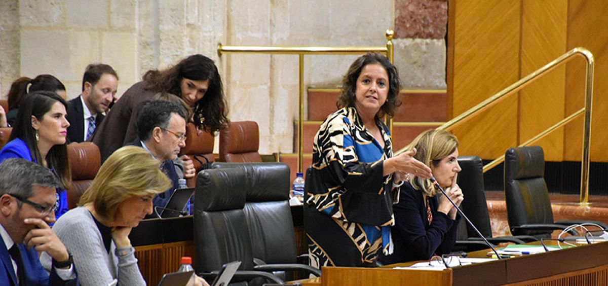 La consejera andaluza Catalina García, en el Pleno del Parlamento. (Foto: Junta de Andalucía)
