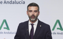 El consejero de Sostenibilidad y portavoz del Gobierno andaluz, Ramón Fernández Pacheco. (Foto: EP)