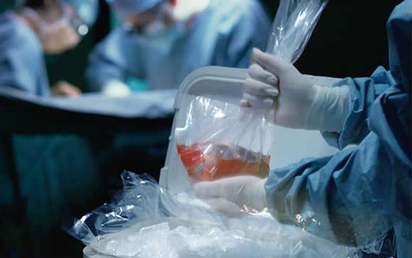  España presenta en la ONU un proyecto mundial contra el tráfico de órganos  