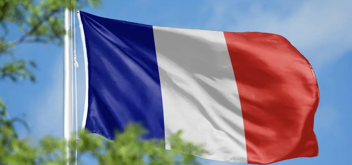 Bandera de Francia (Foto. Rawpixel)