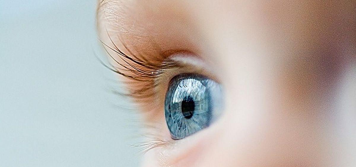 Retina y Síndrome de Dravet (Foto: Shutterstock/Unidad de Cultura Científica de la UCM)