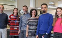 Investigadores de Parapléjicos identifican el potencial de la molécula XIAP para aumentar la supervivencia de las neuronas tras una lesión medular (Foto: Castilla-La Mancha)