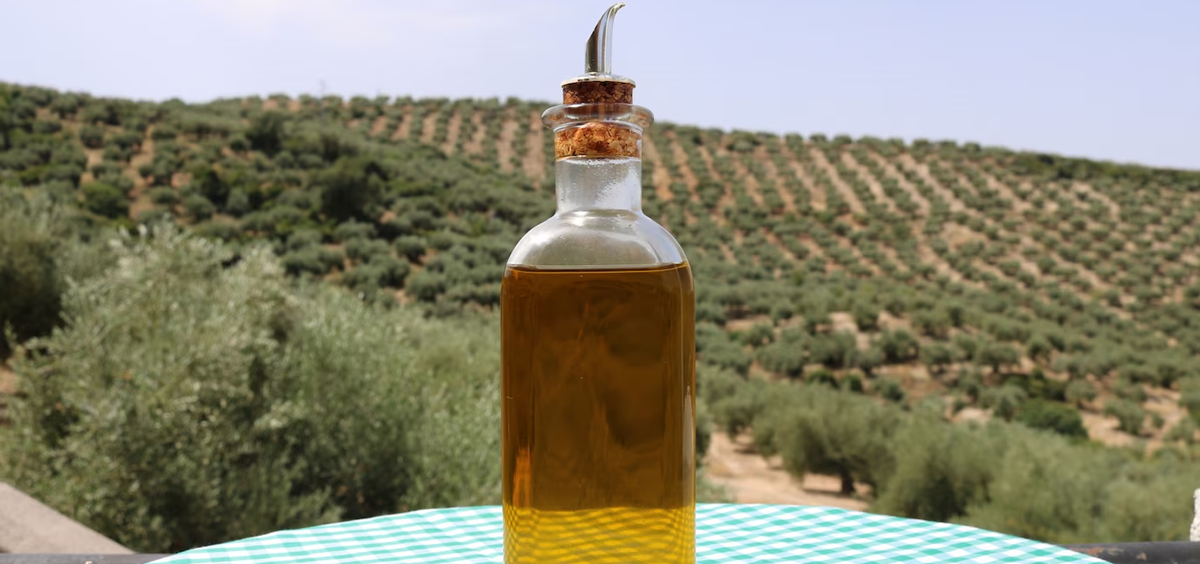 Aceite de oliva (Foto. Freepik)