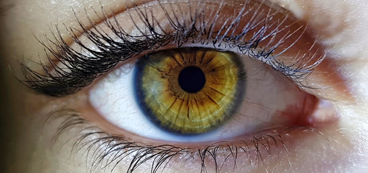 Genes responsables del color de ojos (Foto: Freepik)