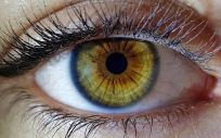 Genes responsables del color de ojos (Foto: Freepik)