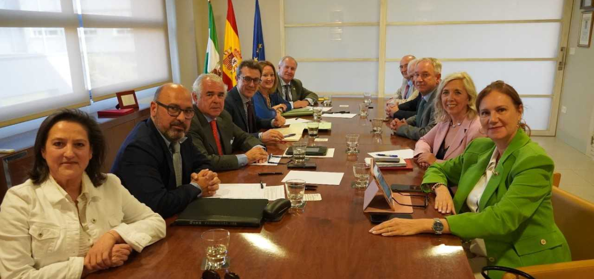 Reunión entre el Consejo Andaluz de Colegios de Médicos y el director gerente del SAS. (Foto: CACM)
