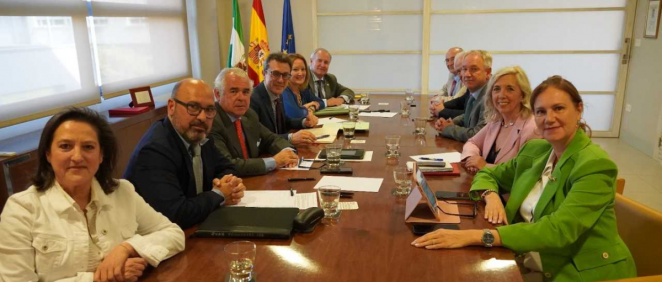 Reunión entre el Consejo Andaluz de Colegios de Médicos y el director gerente del SAS. (Foto: CACM)