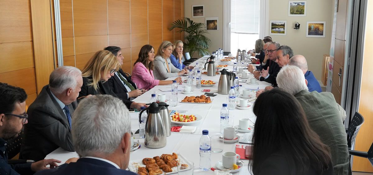 Imagen de la reunión sobre la crisis de la Sanidad (FOTO: Consejo General de Médicos)